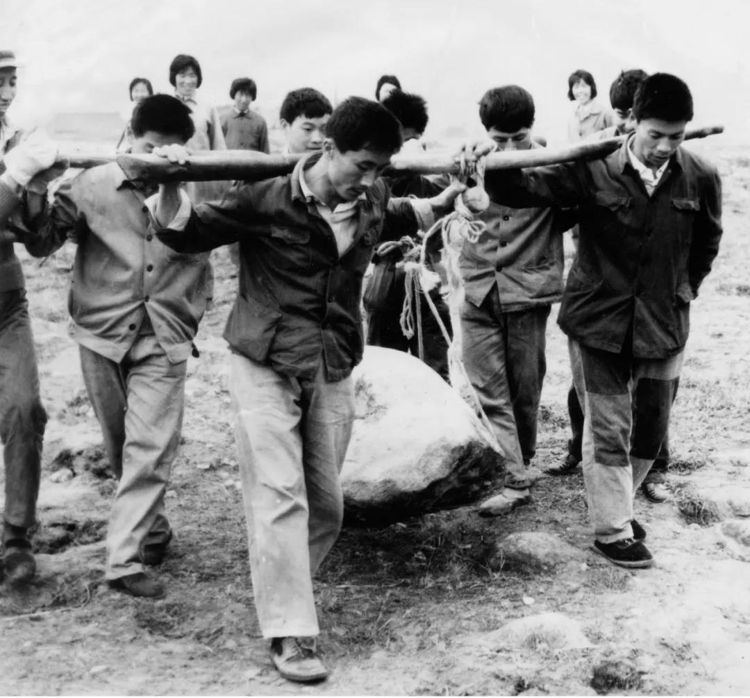 首页-人生就是博手机版