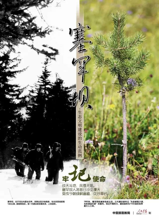 首页-人生就是博手机版