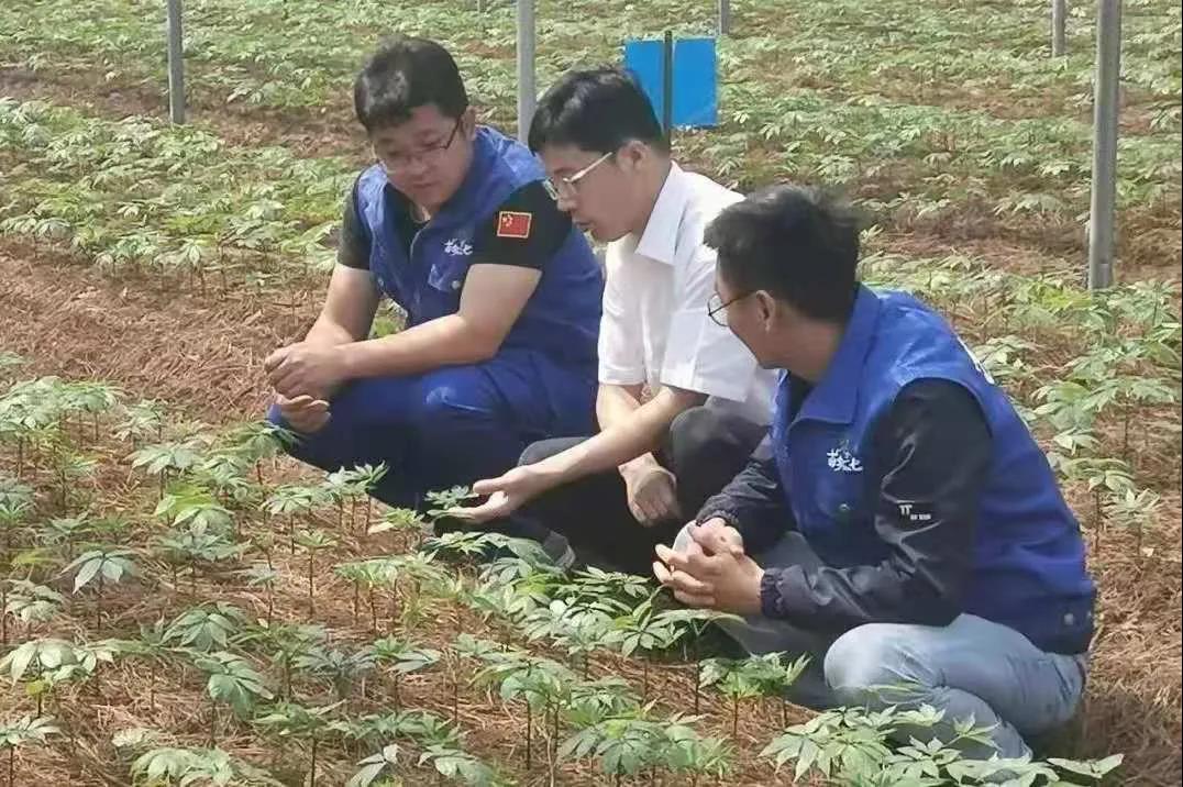 首页-人生就是博手机版